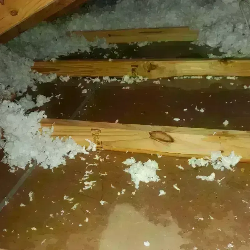 Attic Water Damage in Archer City, TX