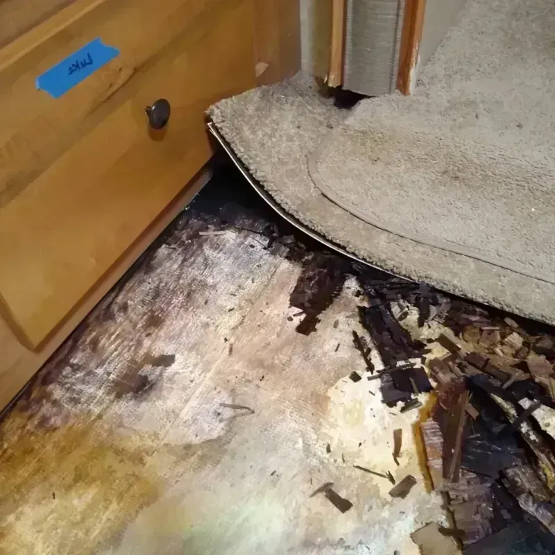 Wood Floor Water Damage in Archer City, TX